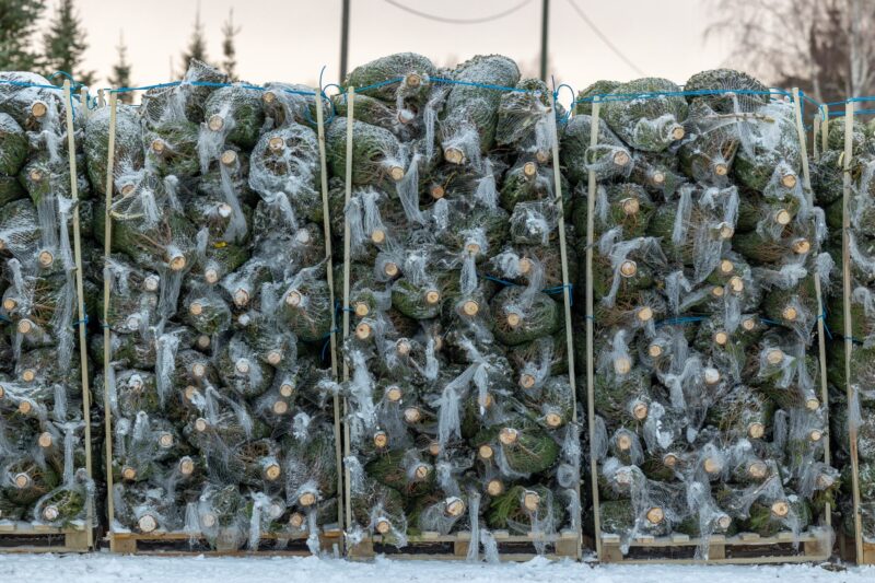 Self-service platform benefits – firly.eu Self-service platform benefits - firly.eu